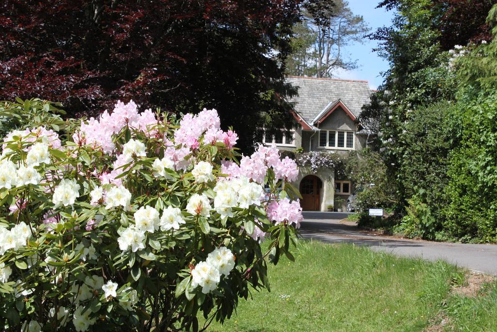 Knapp House Lodges East Anstey Eksteriør bilde